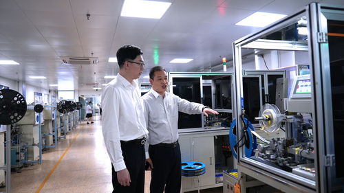 三度服務(wù)賦能溫州科技企業(yè) 信息技術(shù)咨詢的精準助力